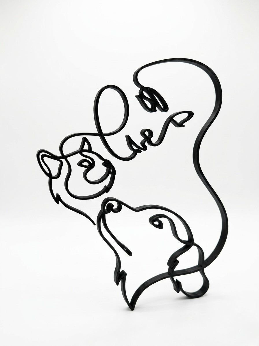 Legami